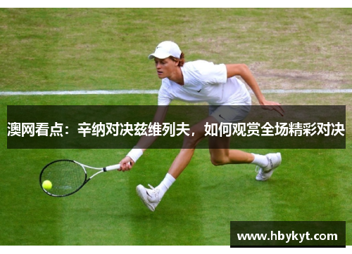 澳网看点：辛纳对决兹维列夫，如何观赏全场精彩对决