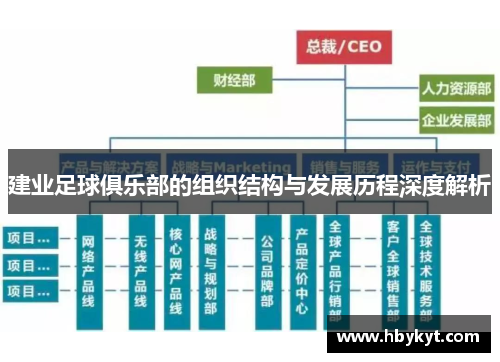 建业足球俱乐部的组织结构与发展历程深度解析